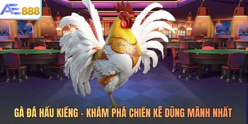 Gà Đá Hầu Kiềng - Khám Phá Chiến Kê Dũng Mãnh Nhất