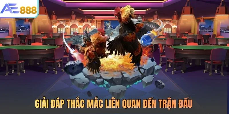 Giải đáp thắc mắc liên quan đến trận đấu