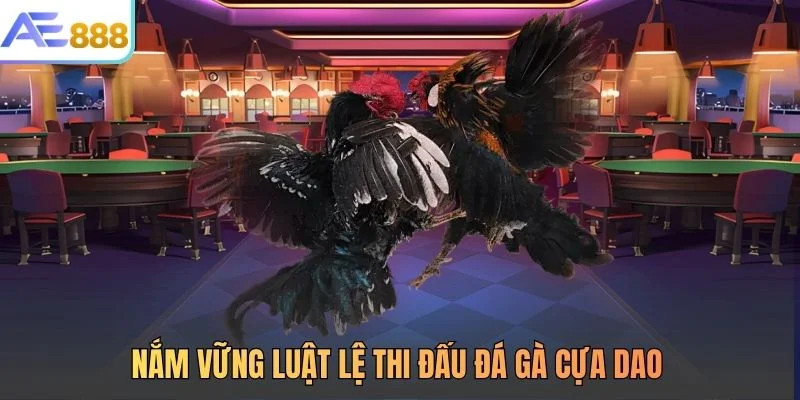 Nắm vững luật lệ thi đấu đá gà cựa dao