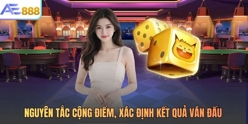 Nguyên tắc cộng điểm, xác định kết quả ván đấu