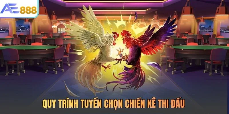 Quy trình tuyển chọn chiến kê thi đấu