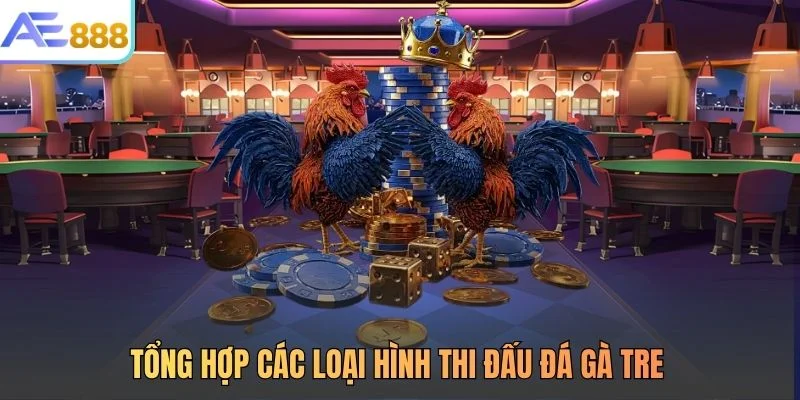 Tổng hợp các loại hình thi đấu đá gà tre